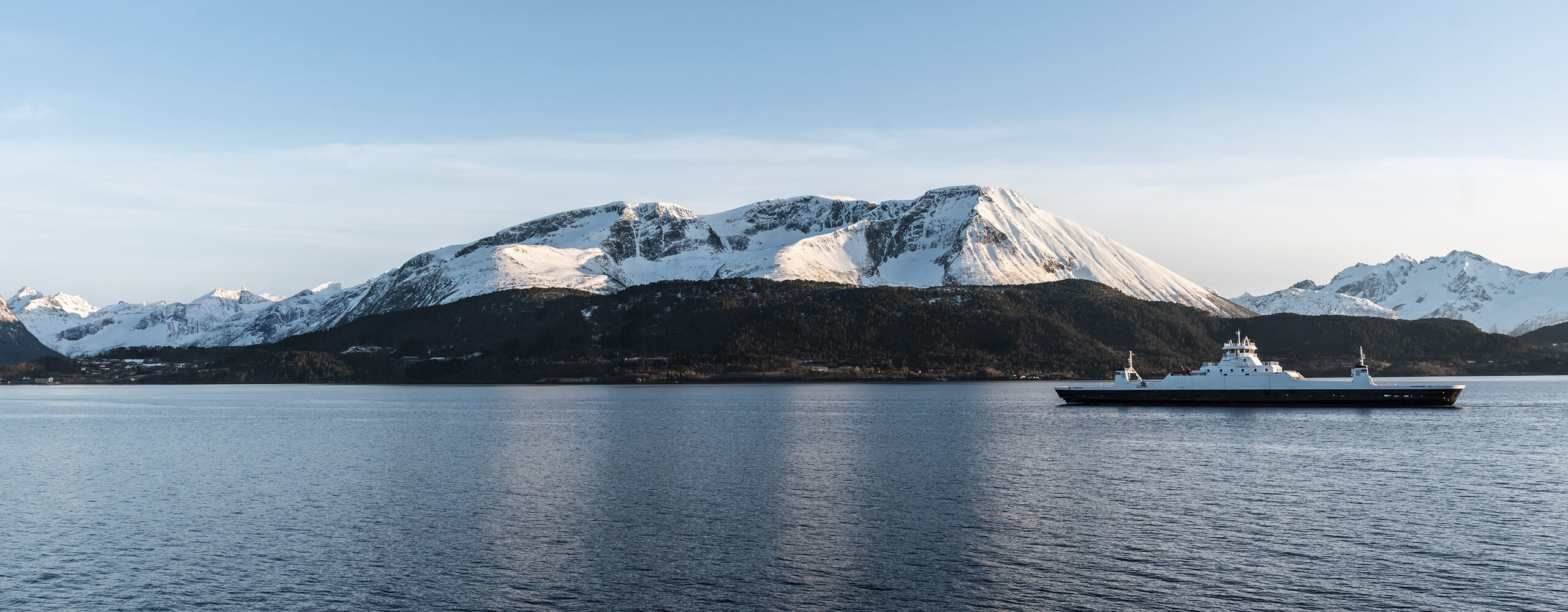 Marineolier til forskellige motortyper