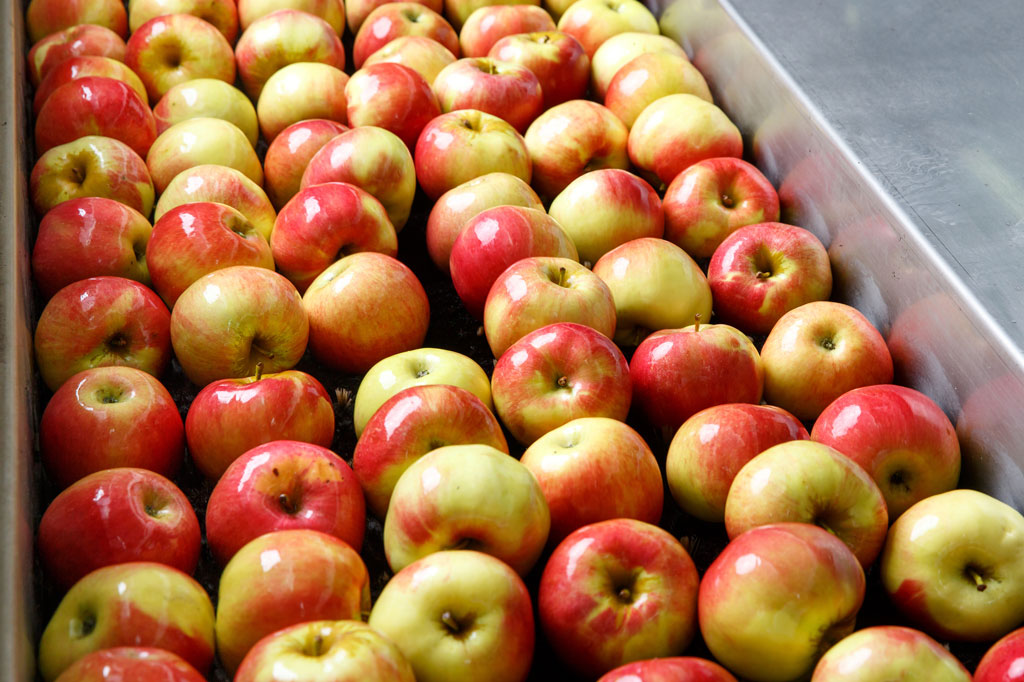 Fødevare godkendte fedter til produktionsudstyr til fødevarer